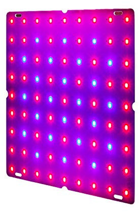 Lampe de culture LED pour plantes d'intérieur, lumière rouge et bleue, lampe de culture sans ventilateur, pour graines de fleurs, serres hydroponiques, semis, potager et tente de culture, 169 perles