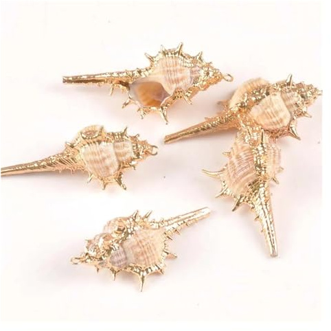 Coquilles de mer Coquilles de mer mixtes, Coquillages for l'artisanat 20x40mm 5pcs Coquillages for pendentif bricolage Beige Coquillage Artisanat Accessoires faits à la main Décoration de plage à la m