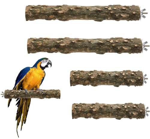 Jiavlyx 4 Stück Vogel Sitzstangen, Sitzstangen Set für Vögel, 15/20cm Vogel Spielzeug Sitzstangen Set, Stehend Vogelkäfig Zubehör, Vogelstange aus Holz für Wellensittich Nymphensittich Kanarienvogel