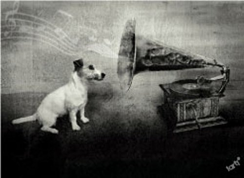 1art1 Hunde His Master's Voice, Jack Russell Terrier Poster-Sticker Tattoo Aufkleber 9x9 cm