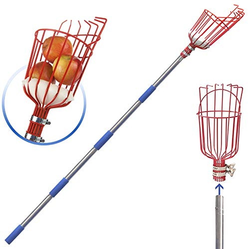 DIIG 8 Foot Fruit Picker Tool with Stainless Steel Pole, Picking Equipment for Lemons, Apples, Guavas, Avocados, Pears, Mangoes, Oranges