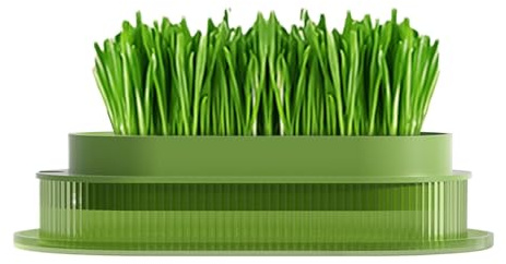 Gras-Blumentopf für Katzen, Grasbox für Katzen, Pflanztopf für Katzengras, transparente Hydrokulturschale für den Anbau von Katzengras, Kindergartentopf für Zuhause, m