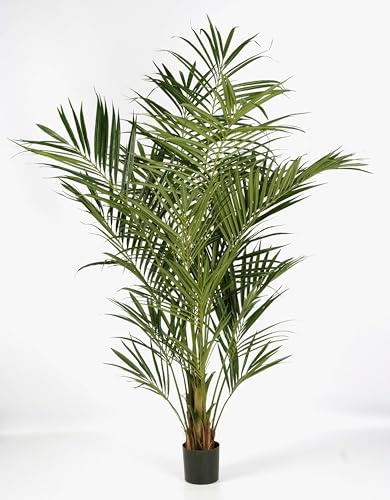 artplants.de Künstliche Kentia Palme Natural, 192 Blätter, 200cm - hochwertige Dekopalme - Kunstpalme