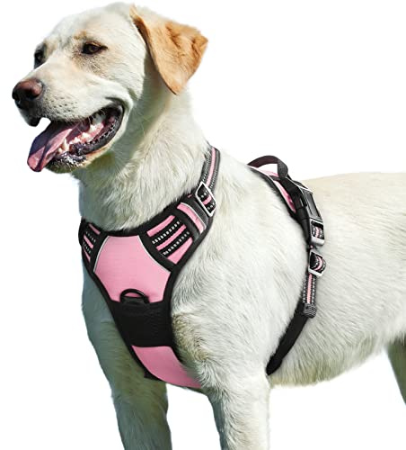 Eagloo Pettorina Cane Taglia Grande, Pettorina ad h Antifuga, Imbracatura per Cani Anti Tiro con Doppio Gancio, Imbracatura Robusto e Regolabile per Addestramento Passeggiate, L, Rosa