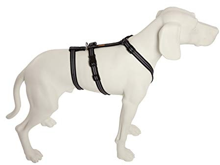 Feltmann No Exit ausbruchsicheres Hundegeschirr für Angsthund, Sicherheitsgeschirr für Pflegehunde, Panikgeschirr, Soft Grip, Bauchumfang 50-65 cm, 20 mm Bandbreite, schwarz/Silber