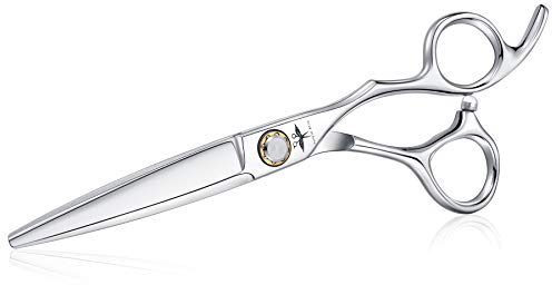 PURPLEBIRD Forbici parrucchiere professionali da 6 pollici Forbici taglio capelli in acciaio inossidabile per uomo,domma e bimbi Forbici barbiere in colore Argento