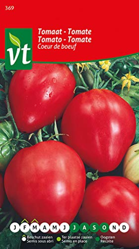 Tomatensamen Coeur de Boeuf