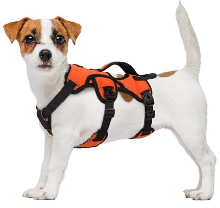 rabbitgoo Ausbruchsichere Hundegeschirr Kleine Hunde mit Griff, Anti Zug Sicherheitsgeschirr Hund Atmungsaktiv, Verstellbare Brustgeschirr, Gepolstertem Hundeweste, Panikgeschirr, Orange S