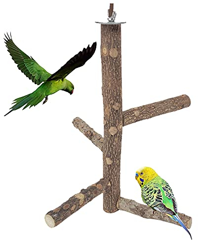 Sitzstangen aus Naturholz für Vögel - Bird Cage Perch, Spielzeug für Vogelkäfige, Papageien, Wellensittich, Kanarienvogel, Nymphensittich