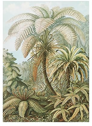Fototapete Vliestapete Jungle 280x200cm | Tapeten Wohnzimmer, Wandverkleidung, Wandtapete Schlafzimmer | Einfach anzubringen und zu Entfernen 280 x 200