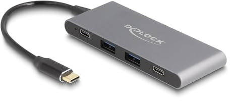 DeLOCK 64111 hub de Interfaz USB 3.2 Gen 2 (3.1 Gen 2) Type-C 10000 Mbit/s Gris