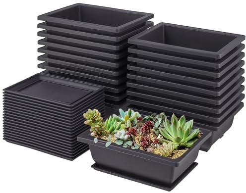 SENJEOK 20PCS Bonsai Training Pots and Tray, Small Plastic Rectangular Bonsai Plants Pot for Indoor Outdoor Garden Yard, 16.5 x 12 x 6cm