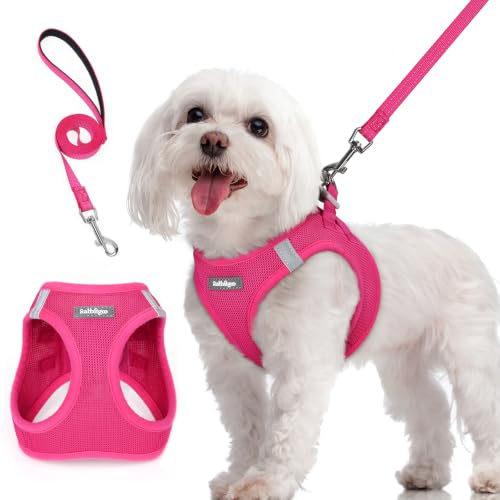rabbitgoo Dog Harness Medium Sized and Leash Set, Step-in Puppy Pet Vest | Light, Soft, Breathable Air Mesh, Easy on and Remove with Hook & Loop, Secure Reflective for Walking, Rose Red M