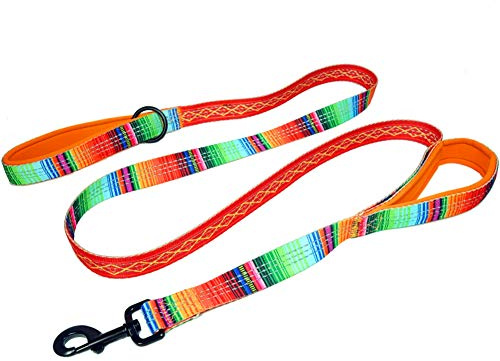 Leashboss Hundeleine, Doppelgriff, Muster-Kollektion, 1,8 m, reflektierende Hundeleine mit Zwei gepolsterten Griffen, für große oder mittelgroße Hunde, die ziehen, 6 Ft x 1 Wide