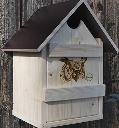 Steinkauz Kauz Waldkauz Eule Nistkasten Nisthöhle Niströhre Winterquartier kleine Eulen Eulenkasten Kauzkasten Eulenhöhle