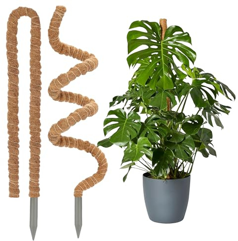 2 48 Moss Poles for Indoor Plants – Bendable Support Stakes for Monstera & Climbing Plants, Coco Coir Plant Poles for Potted Vines & Cheese Plant (2pc 48 Moss Poles)