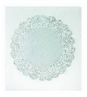 Royal Consumer Produkte 23006 12 in. Runde Papier Spitzendeckchen, 8 Stück