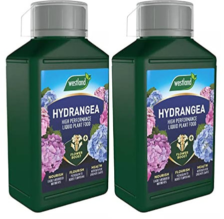 TOPLINE Westland Hydrangea Liquid Plant Food - Pack of 2 x 1L High - Performance Hydrangea Flower Feed with Topline Card. Garden Fertiliser for Plants,, Clear Liquid