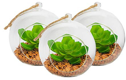 Nicola Spring Pflanzenterrarien aus Glas - Set für Sukkulenten, Farne und Kakteen - zum Hinstellen oder Aufhängen - 120 mm - 3er-Set
