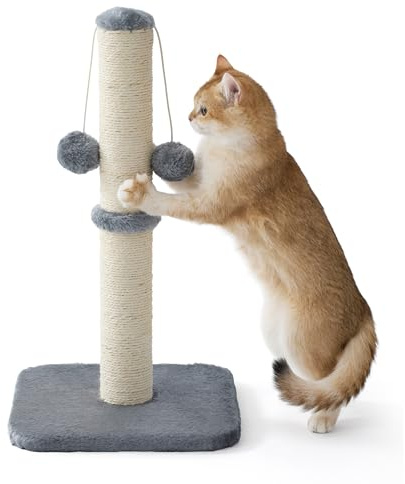 Lesure Kratzsäule Mittelgroßer für Katzen Indoor 30x30x57cm | Kratzstamm mit Hängendem Spielball, Kleiner Kratzbaum mit Sisalseil, Stabile Basis Kratzsäule, Grau