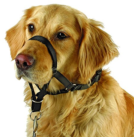 MAXI COACH Größe 6 schwarz