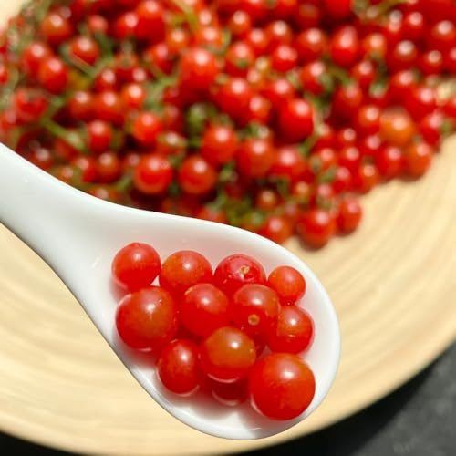 semillas de tomate grosella orgánicas, perennes resistentes exóticas raras regalos sostenibles verdes variedades antiguas invierno 100pcs