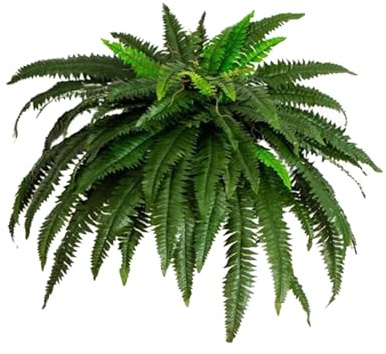 BELOWSYALER Decoración de pared de helecho verde artificial, planta realista adecuada para uso en interiores y exteriores