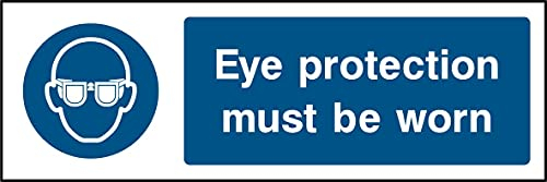 Augenschutz muss getragen werden Schild