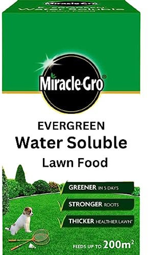 Evergreen Water Soluble Lawn Food - Lawn Food For Stronger Roots Thicker Healthier Lawn (Lawn-Food-1KG)