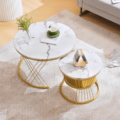 Merax Couchtisch 2er Set, Hochglanz Wohnzimmertisch mit Stauraum, Coffee Table für Wohnzimmer, Balkon, Metallgestell, Gold und Weiß (Nicht-Marmor)