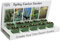 Pronto Seed Grow Your Own Cactus Kit with 5 Seeds Varieties - Indoor Growing Set with Sustainable Packaging Display - Gift for Women, Men - Beginner-Friendly (Cactus Kit)