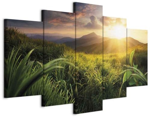 Cuadros B&D XXL - Leinwandbild Gebirge Wiese, 200x100 cm, 5-teilig, modern | Hochwertige Leinwand, sofort aufhängbar, ideal fürs Wohn- oder Schlafzimmer, wasserfest und lichtecht, langlebig, stilvoll