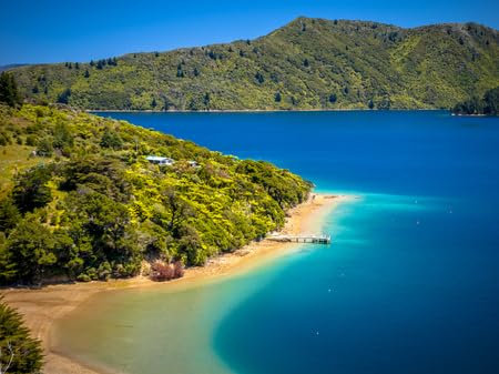 adrium Holz-Bild 80 x 60 cm: Grüner Wald und blaues Wasser in den Marlborough Sounds, Neuseeland (100856740)