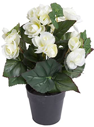 Botanic-Haus künstliche Begonie (Begonienbusch) mit 7 Stielen im schwarzen Kunststofftopf (Creme-weiß)