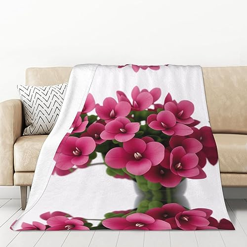 Rote Alpenveilchen bedruckte Mikrofaser-Decke, Sofa-Überwurf, Flanell, flauschig, weich, warm, Überwurf, Decken für Bett, Couch, Reisen, 127,7 x 177,8 cm, normal