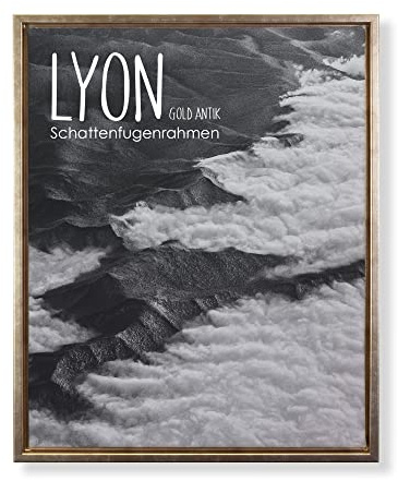 BIRAPA Lyon Keilrahmen für Canvas 40x60 cm in Gold Antik, Rahmen für Leinwände, Leerrahmen für Leinwand, Schattenfugenrahmen für Keilrahmen, Leinwand Rahmen