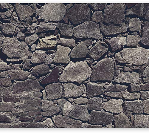 murando - Fototapete Premium-Vlies Steinwand 350x256cm - Foto Tapete Wohnzimmer Moderne Vliestapete XXL Wandtapete Motivtapeten Bildtapete 3d Effekt Wand Dekoration Flur Steine Steinoptik 3D Mauer