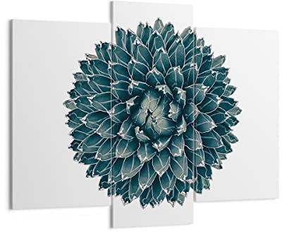 Moderne Impression sur Toile 130x100cm Image Tableau Decoration Murale Agave Reine Victoria Tableaux Decoratifs Muraux Chambre Triptyque 3 parties Deco Cadre Décoration Salon Art Wall CB130x100-4129