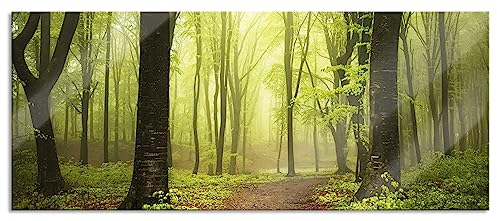 Pixxprint Glasbild Panorama, Wandbild aus Echtglas, Weg im Wald, 100x40 cm, inkl. Aufhängung und Abstandshalter