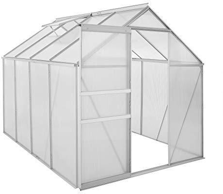 Zelsius Aluminium Gewächshaus 250 x 190 cm | 4 mm Hohlkammerplatten, UV-beständig, Winterfest | Treibhaus, Pflanzenhaus, Tomatenhaus, Frühbeet, Anbau Gewächshaus, Tomatengewächshaus, Gartenhaus