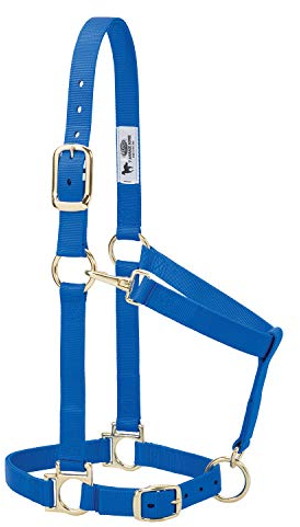 Weaver Leather Basic Halfter aus Nylon, verstellbar, 2,5 cm, Blau