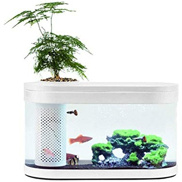 Z-LIANG Geometrie-Fisch-Behälter Aquaponics Ökosystem Kleiner Wasser-Garten ökologisches Aquarium Aquarium Transparent Aquarium