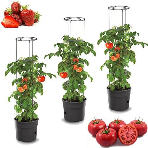 3 x tomatkrukor, planteringskrukor, set med 3 stycken tomatodlingskrukor på 28 l, överkruka, grönsaker, tomater