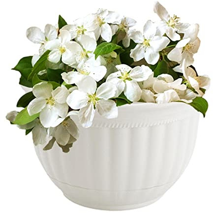 Fukamou Vasi per Piante da Parete | Fioriera da Parete a semicerchio - Fioriera da Parete Fioriera da Appendere a Parete per Interni Vaso per Piante per Giardinaggio in Container