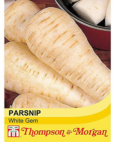 Thompson & Morgan - Vegetables - Parsnip White Gem - 300 Seeds