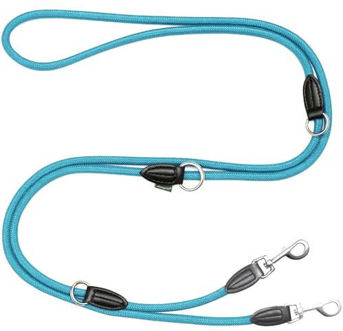 Leisegrün Verstellbare Hundeleine 3m - Robuste Nylon Doppelleine für mittelgroße bis große Hunde, 200kg Zugkraft, 2 Karabiner - Hellblau