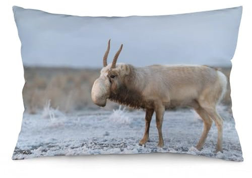Zhimahou 50 x 35 cm große Kissenbezüge, Antilopen-Spaziergänge in Steppe in der Nähe von Wasserloch im Winter, Stuhlkissen, Sofakissen, Sitzkissenbezüge, Bett-Kissenbezüge