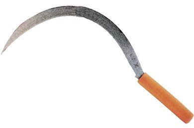FALCI