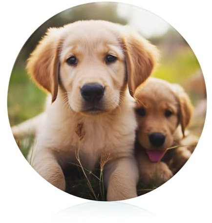 Niedliches Golden Retriever Welpenschneidebrett für die Küche, rundes Muster, Schneideblock aus gehärtetem Glas, rutschfestes Glasschneidebrett, personalisierte Schneidematten für Zuhause