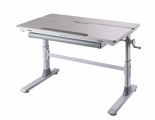 Inter Link - Kinderschreibtisch – Mitwachsender Jugendschreibtisch - Ergonomischer Schülerschreibtisch - Höhenverstellbar & neigbar – Weiß – Frederik
